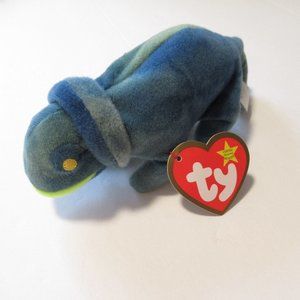 Catnip Iggy the teenie Iguana